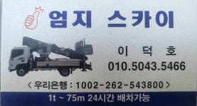 엄지스카이차
