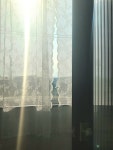 스테이 명애
