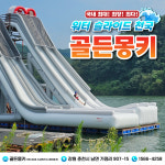 골든몽키