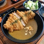 카츠D9