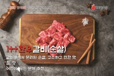 개미정육점