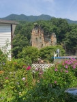 고향집민박