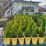 대한조경농원