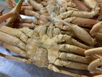짱대게