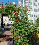 아트앤하트 의정부 호원범골점