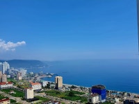 100억부동산공인중개사사무소