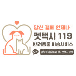 펫택시119