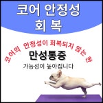 마디튼튼프롤러의원
