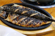 양주재래식손두부 고읍점