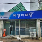 혜경어패럴