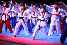 참교육태권도