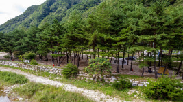 한계2리솔밭야영장