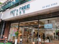 페스츄리펫살롱 화이트역삼점