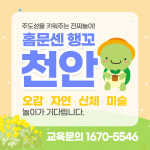 행복한꼬마거북이