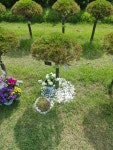 일산수목장