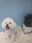 스케치멍