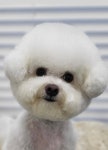 트리밍스토리