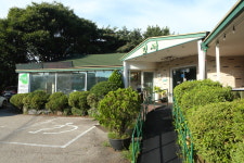 잎새