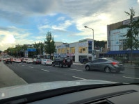 로얄펫 강아지분양 고양이분양 전주점