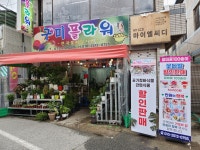 구미플라워