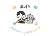 꾸미독동탄애견미용