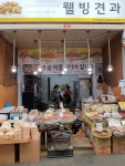 웰빙견과