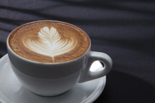 언더스탠드커피 로스터스