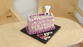 멍청하개 수제간식