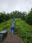 비선동 산삼