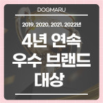 도그마루 동물병원