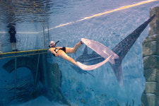 프리다이빙 다이빙이지 강습