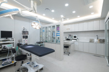 정담동물메디컬센터