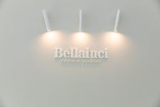 벨라루시애견미용학원 하남점