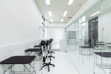 벨라루시애견미용학원 하남점