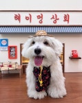 24시 무인 애견 놀이터 헤이멍