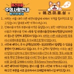 애견미용실