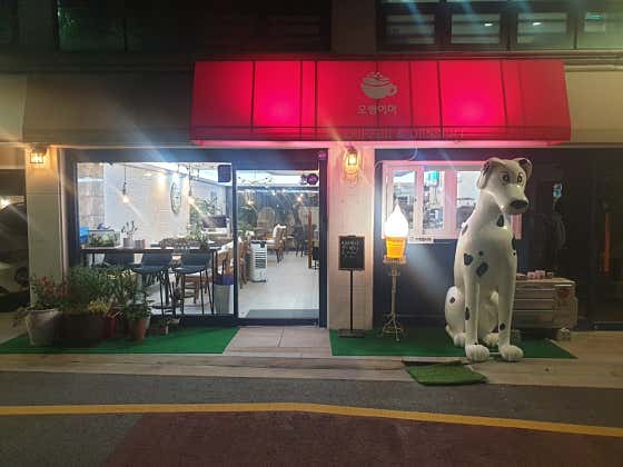 오병이어 사진