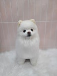 꾸미개
