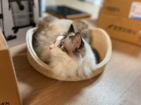 아뜰리에지트