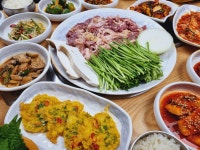 담쟁이