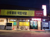 신토불이약초식당