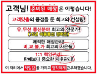 일등통신