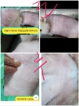 모이따