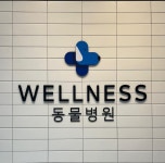 웰니스동물병원 수완점