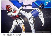 대호태권도