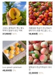 아트팜농원