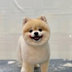 웅살롱
