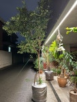 화분팜