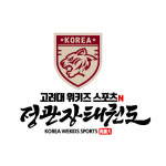 고려대위키즈스포츠N정관장태권도장