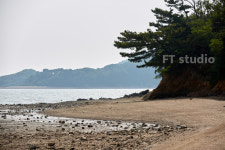 에프티스튜디오